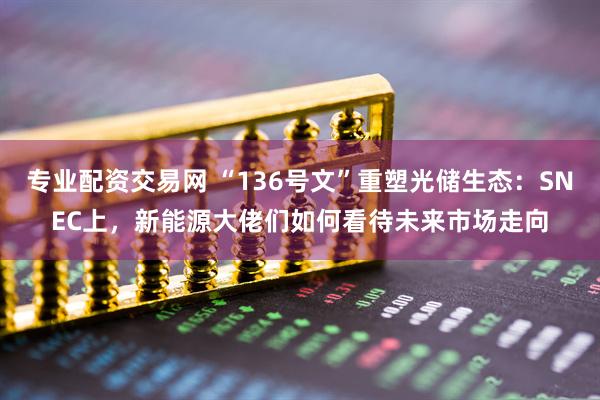 专业配资交易网 “136号文”重塑光储生态：SNEC上，新能源大佬们如何看待未来市场走向