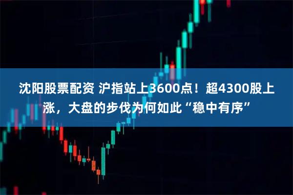 沈阳股票配资 沪指站上3600点！超4300股上涨，大盘的步伐为何如此“稳中有序”