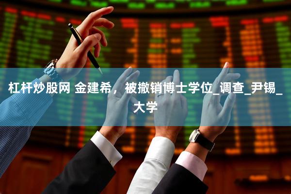 杠杆炒股网 金建希，被撤销博士学位_调查_尹锡_大学